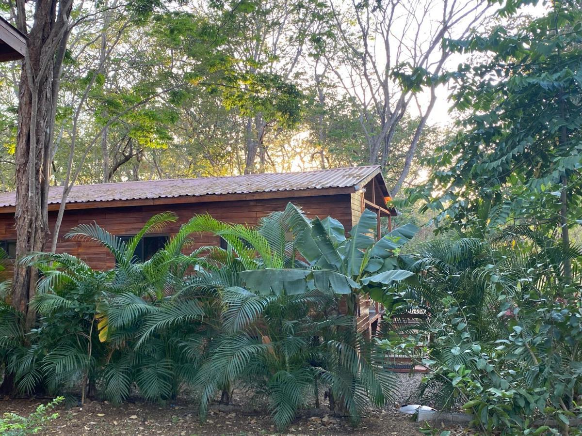 Casa Natural برازيليتو المظهر الخارجي الصورة