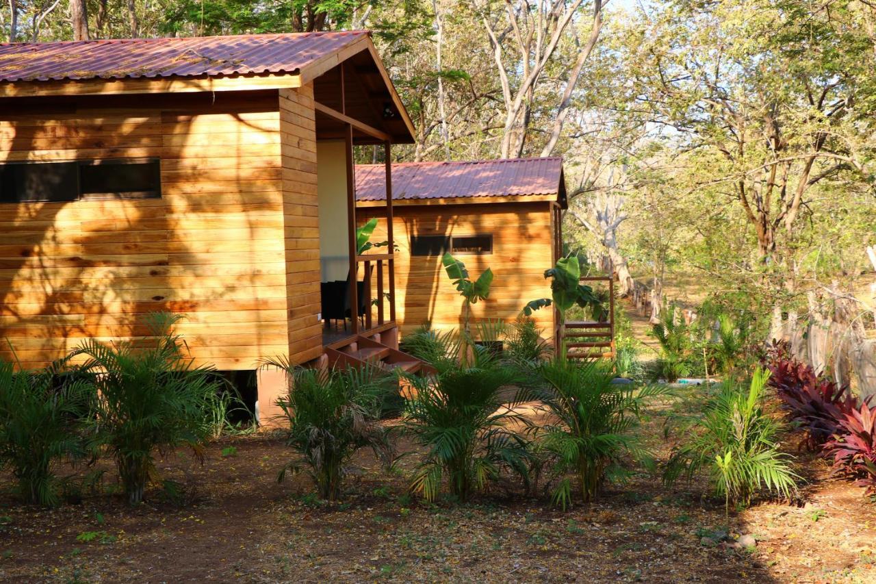 Casa Natural برازيليتو المظهر الخارجي الصورة
