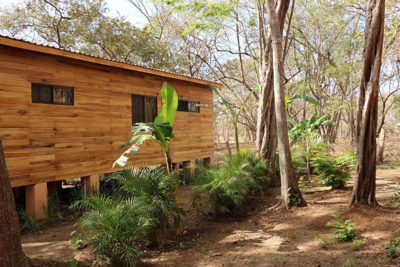Casa Natural برازيليتو المظهر الخارجي الصورة